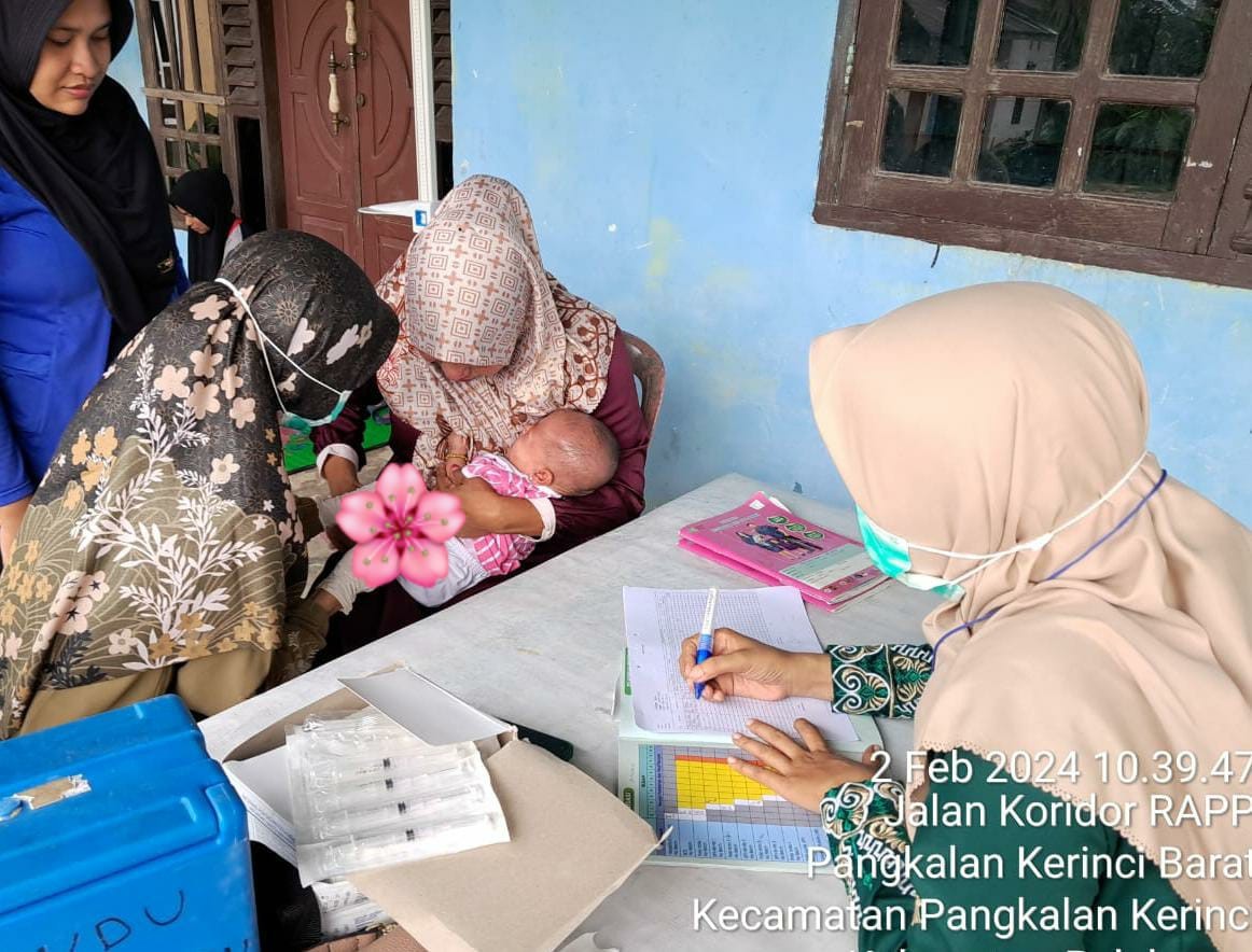 Posyandu balita harapan baru kelurahan Pangkalan Kerinci Barat