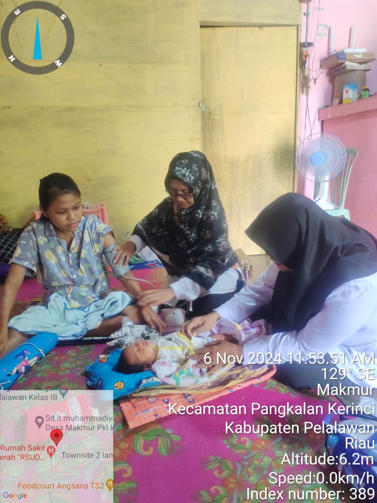 Kunjungan Nifas dan Bayi Baru Lahir Desa Makmur